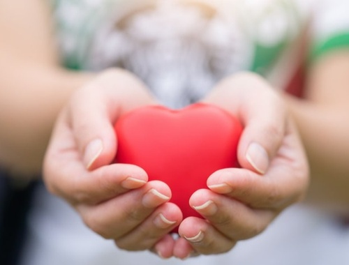 Charitable Giving/ Legacy Planning