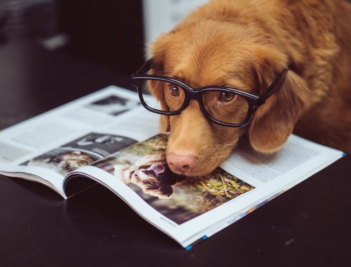 Financial Planning