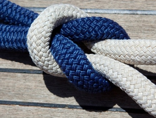 The Palomar Knot<br/>