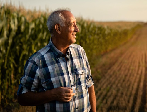 Nearing Retirement