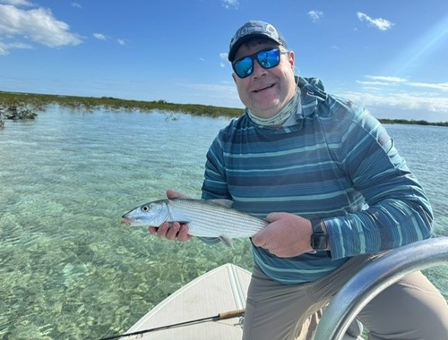 Reeling It In