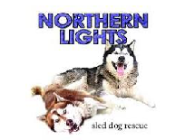 Northern Lights