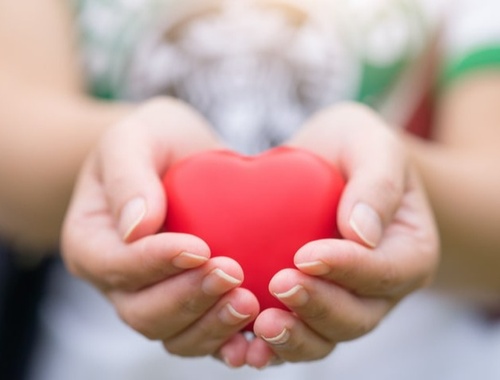 Charitable Giving/ Legacy Planning