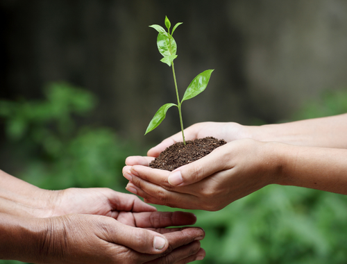 Charitable Giving