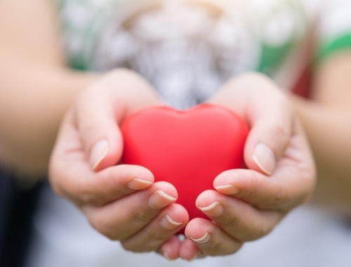 Charitable Giving/ Legacy Planning