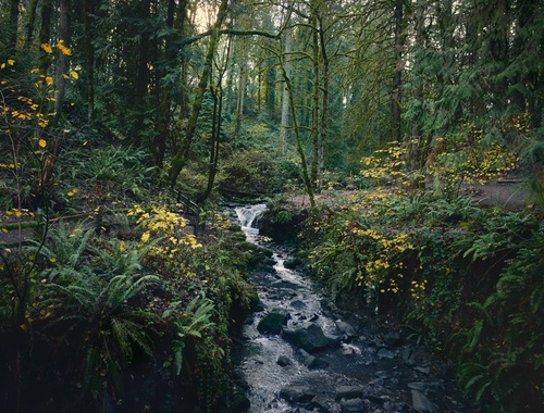 Cascadia Wealth Advisors