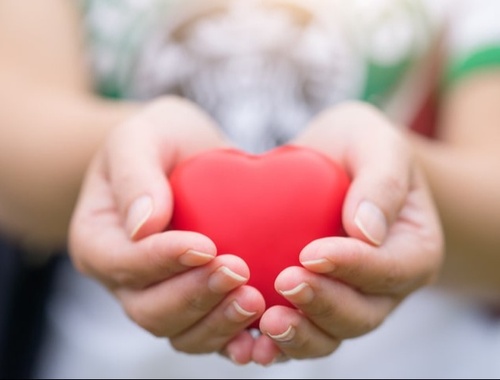 Charitable Giving/ Legacy Planning