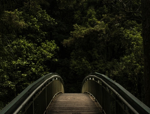 Tailored Risk Mitigation Plans