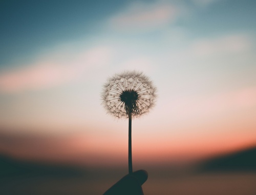 A Sense of Well-Being