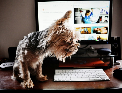 Websites