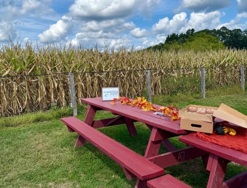Apple Picking Event