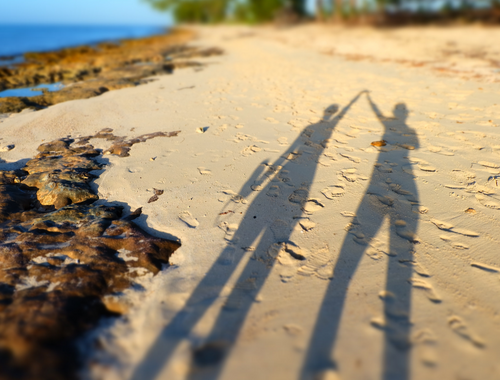 Comprehensive Wealth Management