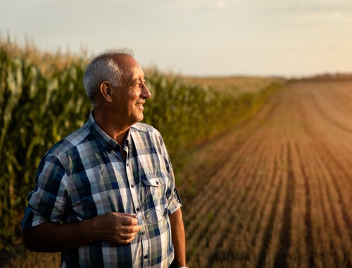 Nearing or Planning to Retire