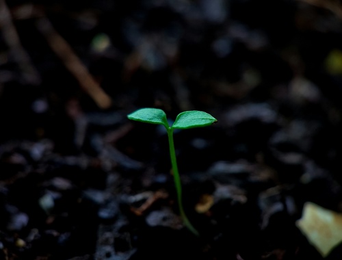 Help Build, Grow, and Exit on Your Terms