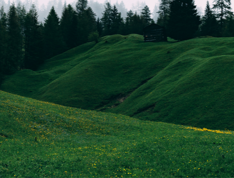 Financial Planning for Business Owners