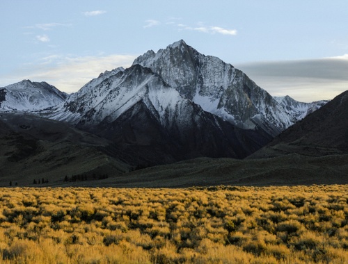 Qualified Charitable Distribution