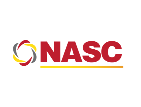 National Auditing Services & Consulting