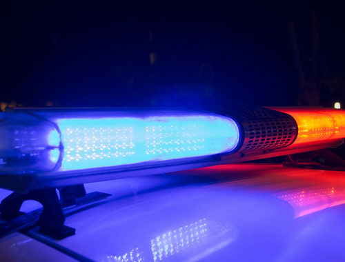 Public Service Professionals