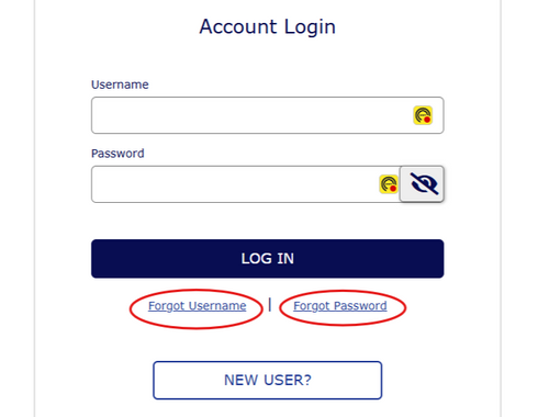 Reset Your Password