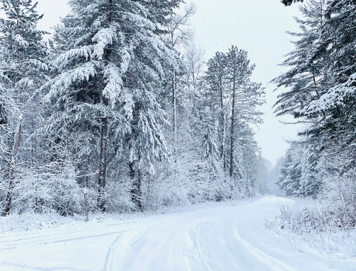 Eau Claire