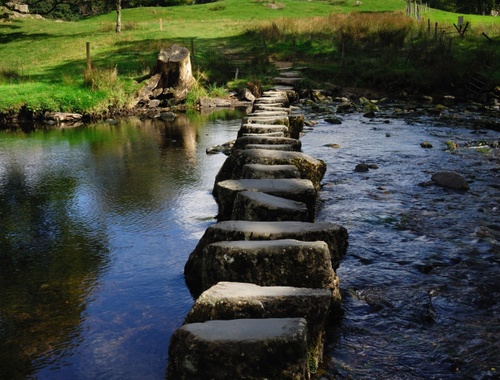 EXPERTISE YOU CAN TRUST