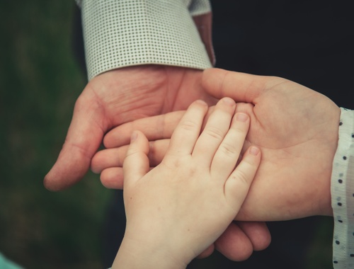 <strong>Estate Planning</strong>