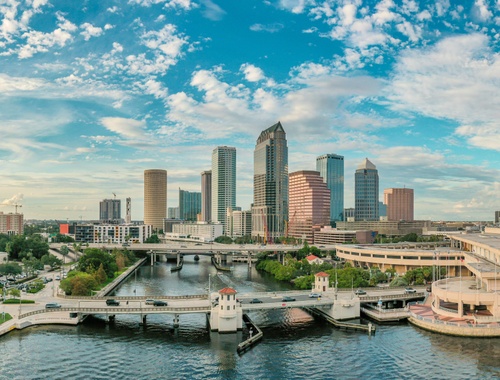 For Financial Institutions