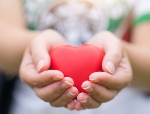 Charitable Giving/ Legacy Planning