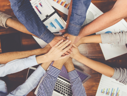 Our Wealth Management Team