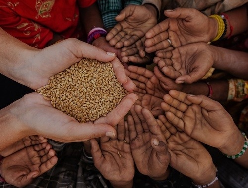 Charitable Giving: Smart from the Heart