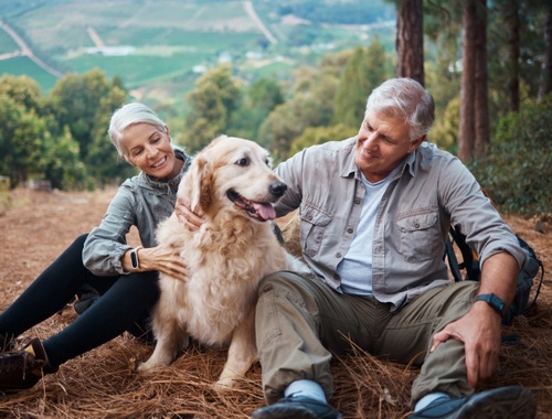 Stress-Free Financial Planning