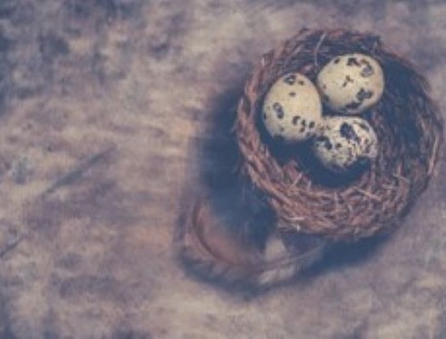Plan Sponsors Can Help Social Security Early Birds Build Their Retirement Nest Egg 