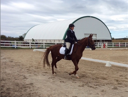 Janet Amedio: Equestrian