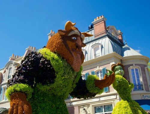 Be Our Guest for a complimentary call.