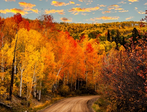 The Roots of Lemnis Capital