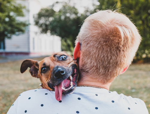 Empowering Pawz Inc. Rescue