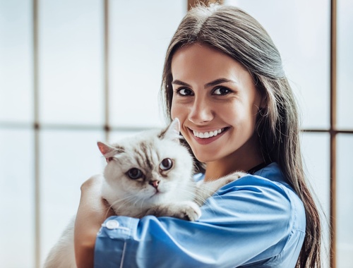 Veterinarians: Focus on What You Love