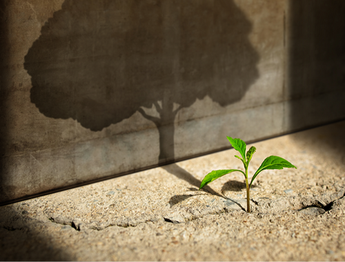 Because Life<br/><strong>Changes</strong>