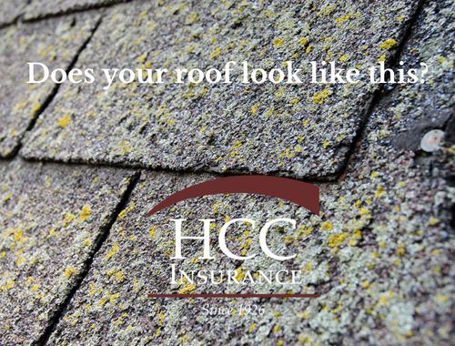 Loss Recommendations After a Home Insurance Inspection: What They Mean and Why they Matter
