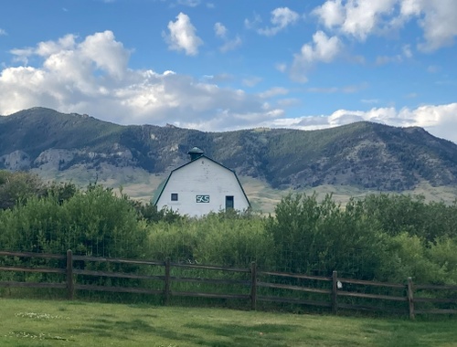 Why Farm and Ranch Owners Choose Us
