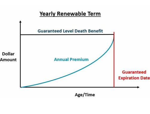 Yearly Renewable