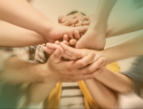 How Are Plan Sponsors Measuring Participant Success?