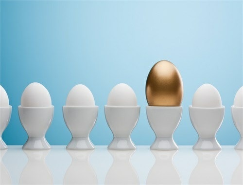 Investment Management