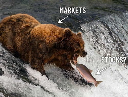 Bear market, is it finally over?