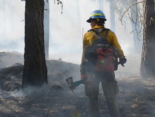 Wildland Fire Contractors
