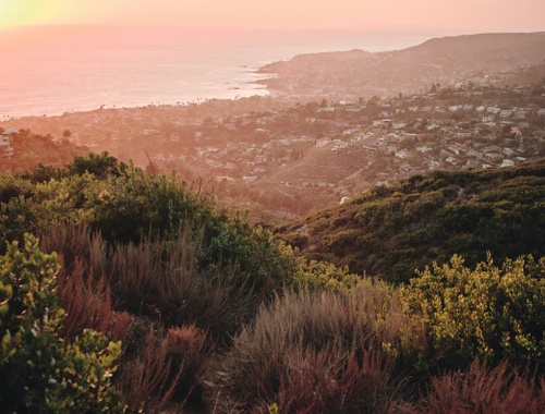 Visit Us in Orange County