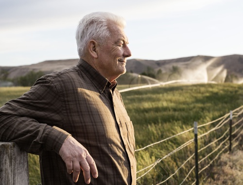 Your Custom Retirement Plan Will Include: