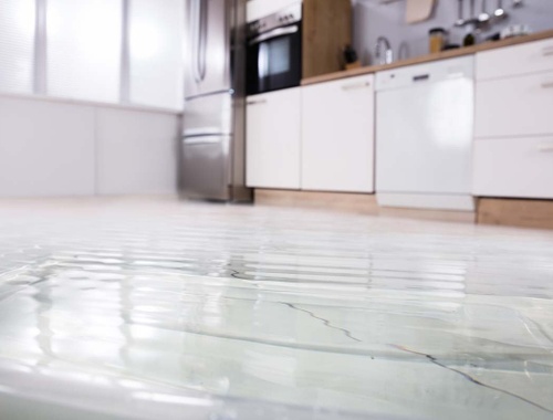 Renters Insurance