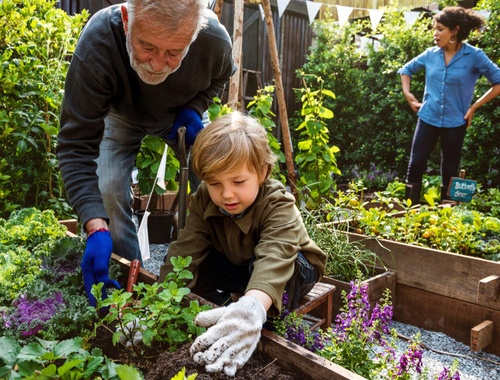 Our Tailored Approach to Financial Planning