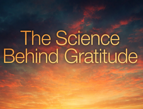 Gratitude 